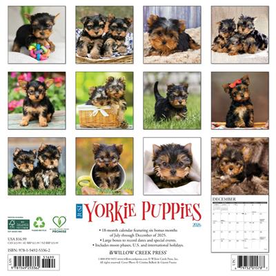 Yorkie Puppies 2026 Wall Calendar