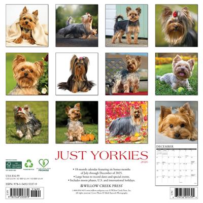 Yorkies 2026 Wall Calendar