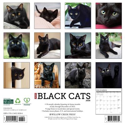 Black Cats 2026 Wall Calendar