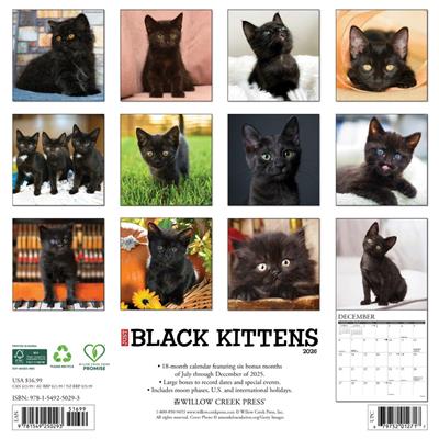 Black Kittens 2026 Wall Calendar