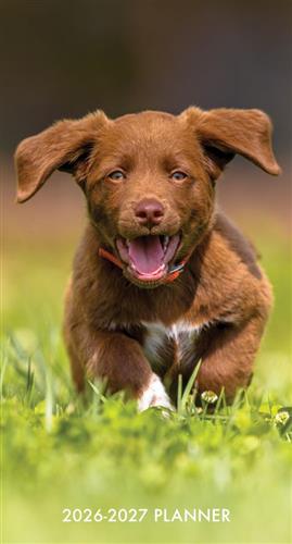 Puppy Love 2026-27 Two-Year Monthly Pocket Planner