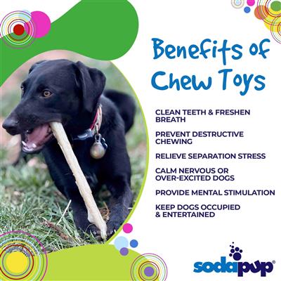 Durable Nylon Chew Stick