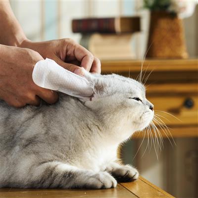 HICC Pet® Pet Ear Relief Finger Wipes For Dogs & Cats