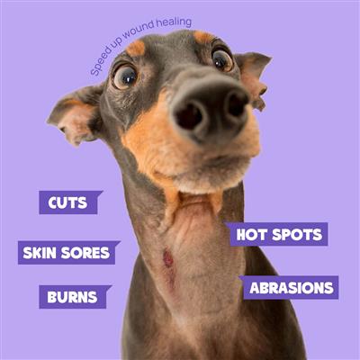 HICC Pet® 2X Power Pet Wound & Antimicrobial Spray For Dogs & Cats, 10.1 Fl Oz