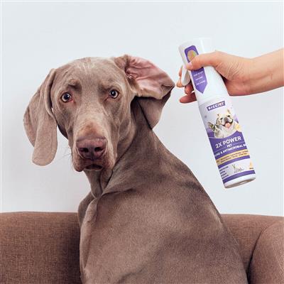 HICC Pet® 2X Power Pet Wound & Antimicrobial Spray For Dogs & Cats, 10.1 Fl Oz