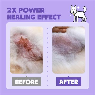 HICC Pet® 2X Power Pet Wound & Antimicrobial Spray For Dogs & Cats, 10.1 Fl Oz