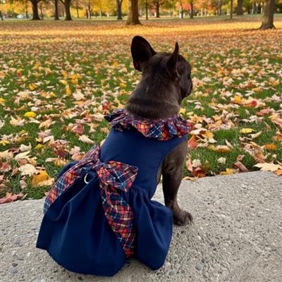 Navy Dog Dress with Plaid Ruffles