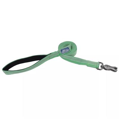 K9 Explorer Brights Reflective Dog Leash Meadow Medium/Large 1"x 6'