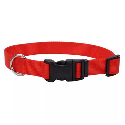 Coastal Adjustable Nylon Dog Collar with Plastic Buckle Red 1ea/3/4 In X 14-20 in - COPY