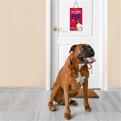 BRYCE HARPER "ALL I NEED IS MY PUP AND HARPER" SIGN