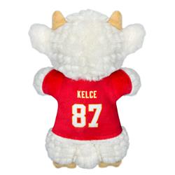 Extra Product Image