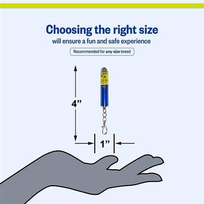 PETSPORT Laser Chase II 5mW Class 3R 4"