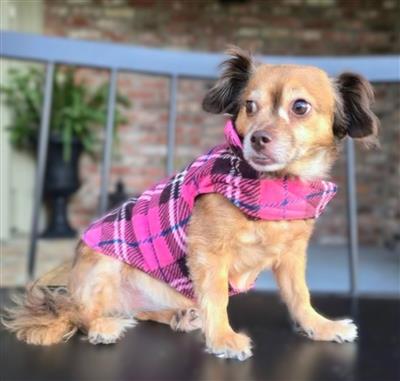 Reversible Fleece Lined Puffer Coat - Pink Plaid