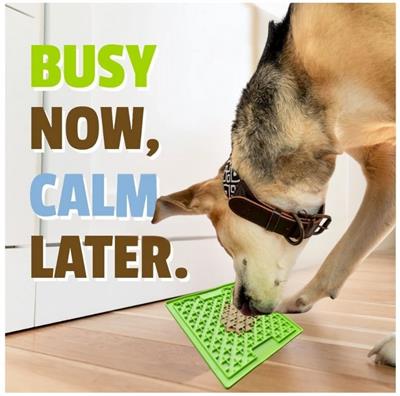 Pet Naturals Busy Butter Calming Peanut Butter