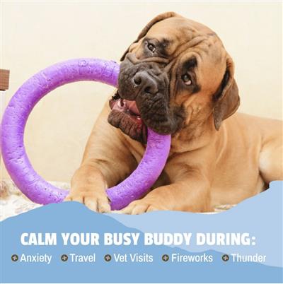 Pet Naturals Busy Butter Calming Peanut Butter