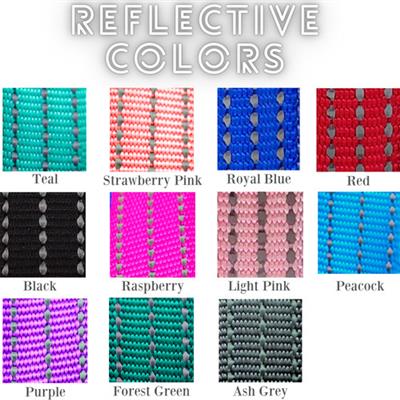 Reflective Breakaway Nylon Dog Collar - Safety Collar