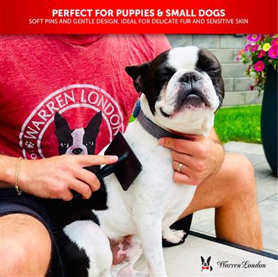 Gentle Touch Slicker Brush