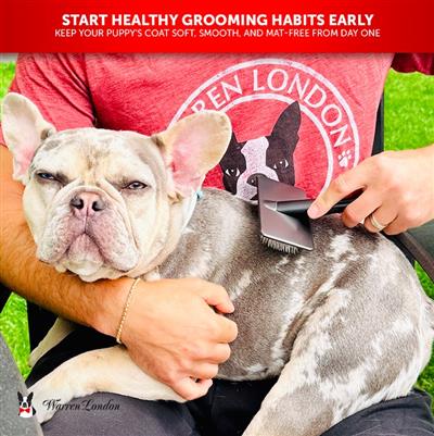 Gentle Touch Slicker Brush