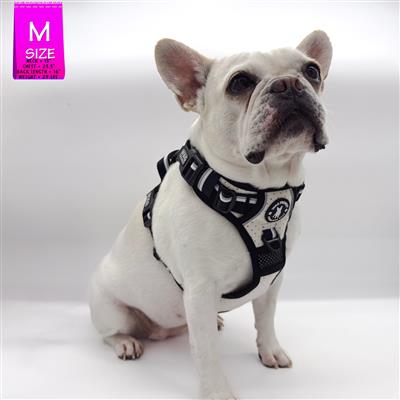 NeoCool™ No Pull Dog Harness With Handle | Sport White