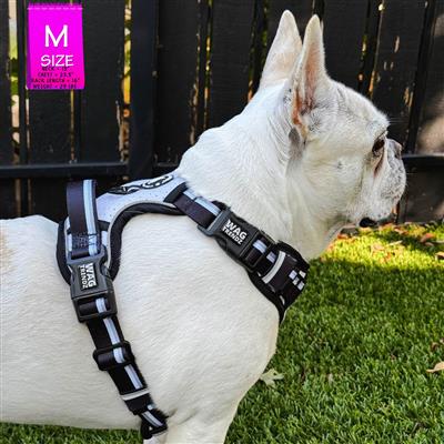 NeoCool™ No Pull Dog Harness With Handle | Sport White