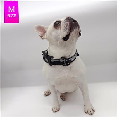 NeoCool™ Reflective Dog Collar | Sport White