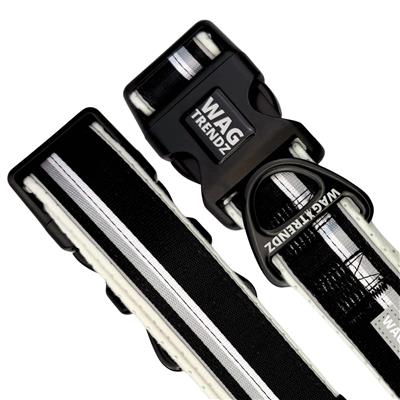 NeoCool™ Reflective Dog Collar | Sport White