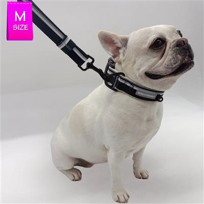 NeoCool™ Reflective Dog Collar | Sport White
