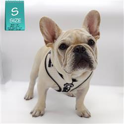 Extra Product Image
