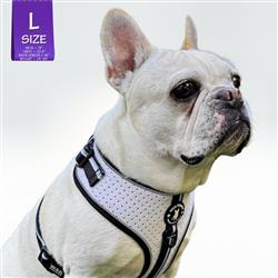 Extra Product Image