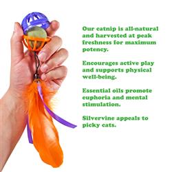 Extra Product Image