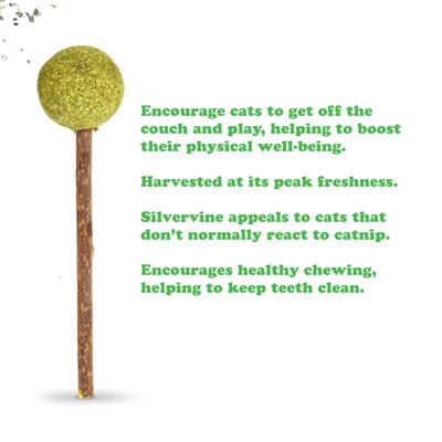 Lollies - Silvervine Sticks With Catnip
