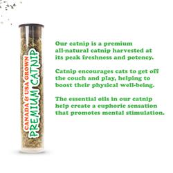 Extra Product Image