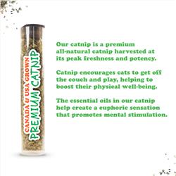 Extra Product Image