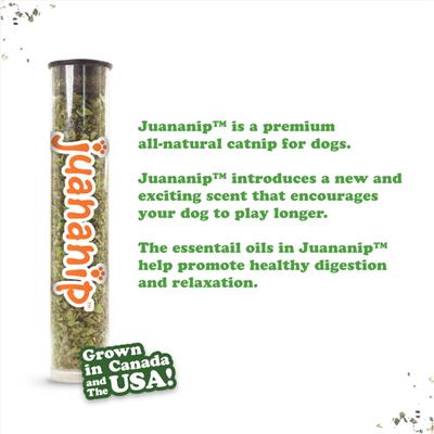 Tuffer Chewer Avocado Toast Refillable Dog Toy