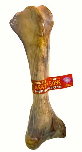 13-18" Monster Bone - With Scoochie Cigar Band