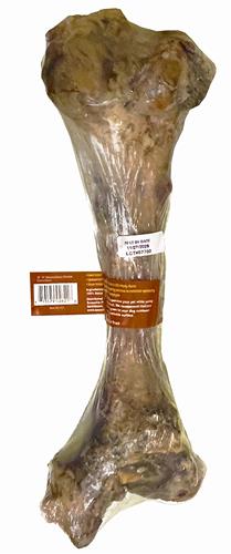 13-18" Monster Bone - With Scoochie Cigar Band