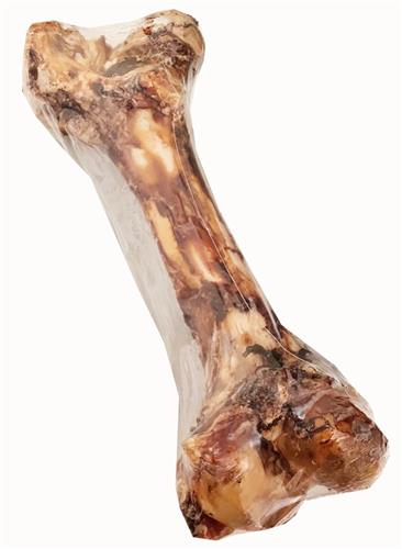 13-18" Monster Bone - With Scoochie Cigar Band