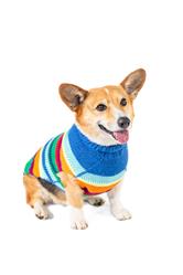 Extra Product Image
