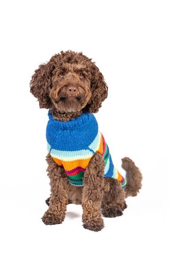 Alpaca Royal Stripe Dog Sweater