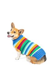 Extra Product Image