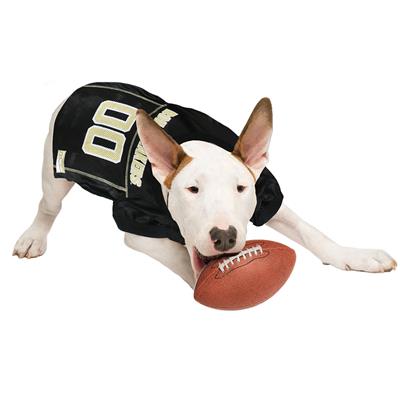 Purdue Boilermakers Dog Jersey