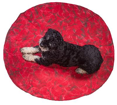 Felt Dog Mat - Assorted Colors