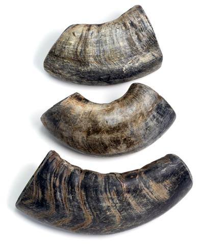 Durkha Buffalo Horn - Small