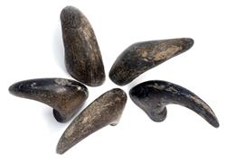 Extra Product Image
