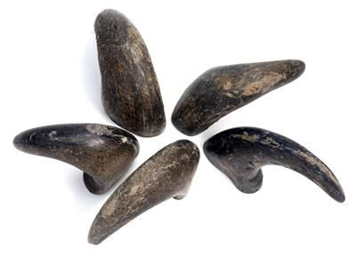 Durkha Buffalo Horn - Medium