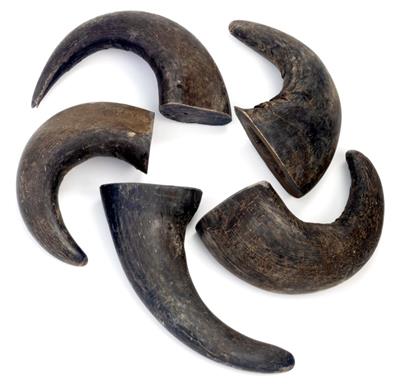Durkha Buffalo Horn - Large