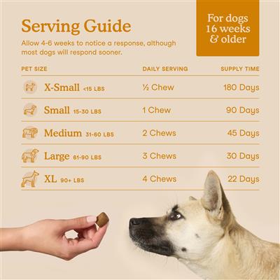 Allergy & Immune Soft Chews