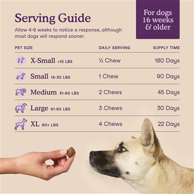 Calming Soft Chews