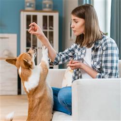 Extra Product Image