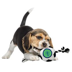 Extra Product Image